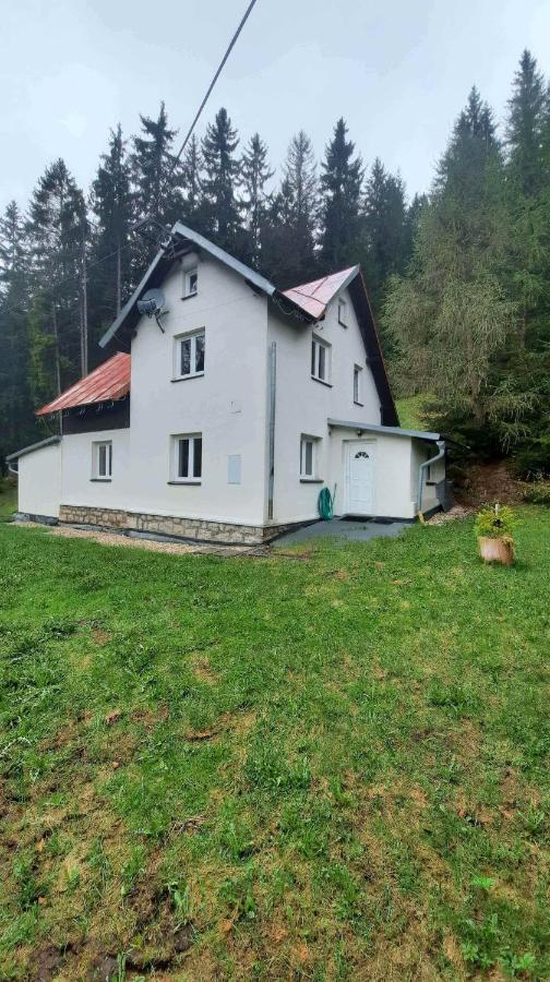 Dum U Lesa - Nove Hamry Villa Buitenkant foto