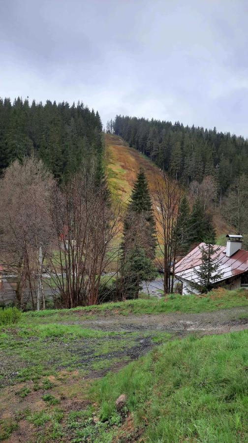 Dum U Lesa - Nove Hamry Villa Buitenkant foto