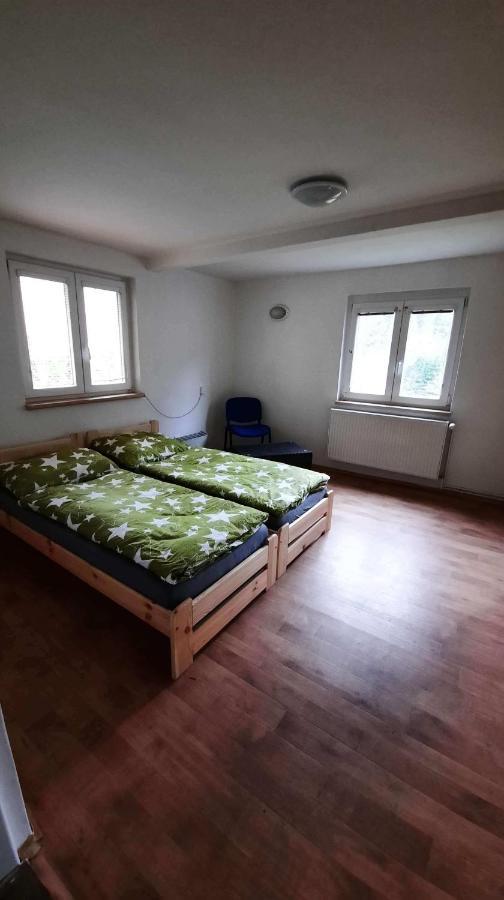 Dum U Lesa - Nove Hamry Villa Buitenkant foto