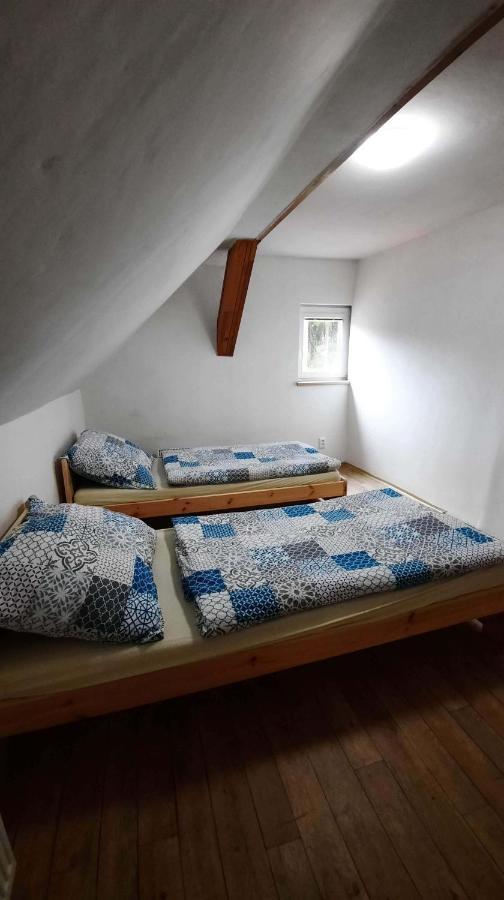 Dum U Lesa - Nove Hamry Villa Buitenkant foto
